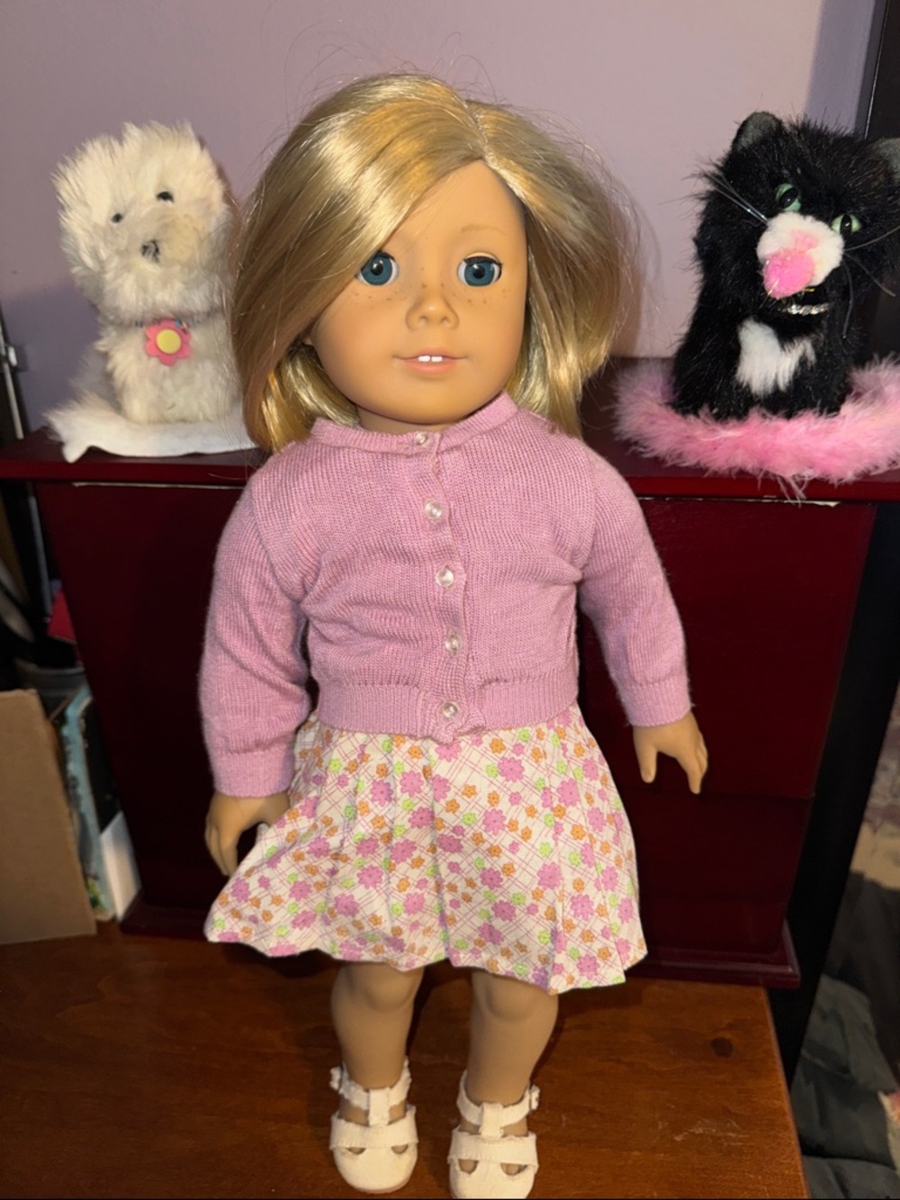 American Girl Doll Original Kit + extra Outfits and pets Coconut and Licorice - Picture 2 of 4